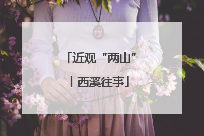 近观“两山”丨西溪往事